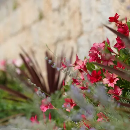 Sky Garden Trogir